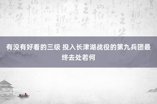 有没有好看的三级 投入长津湖战役的第九兵团最终去处若何