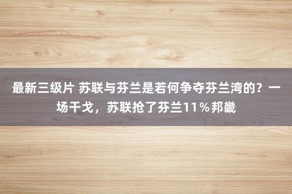 最新三级片 苏联与芬兰是若何争夺芬兰湾的?一场干戈,苏联抢了芬兰11%邦畿