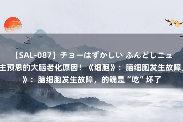 【SAL-087】チョーはずかしい ふんどしニューハーフ 2 出东谈主预思的大脑老化原因!《细胞》:脑细胞发生故障,的确是“吃”坏了