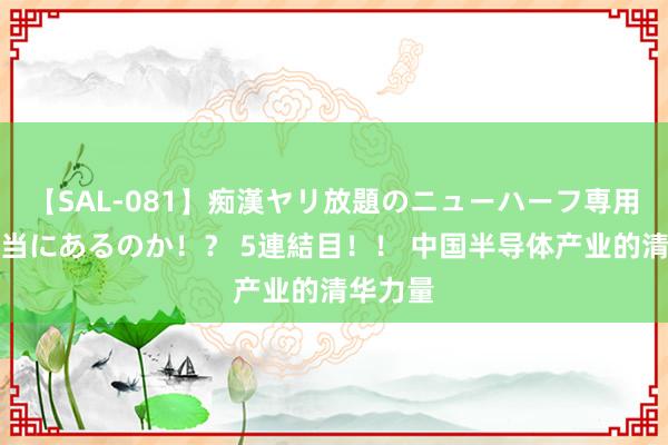 【SAL-081】痴漢ヤリ放題のニューハーフ専用車は本当にあるのか!? 5連結目!! 中国半导体产业的清华力量