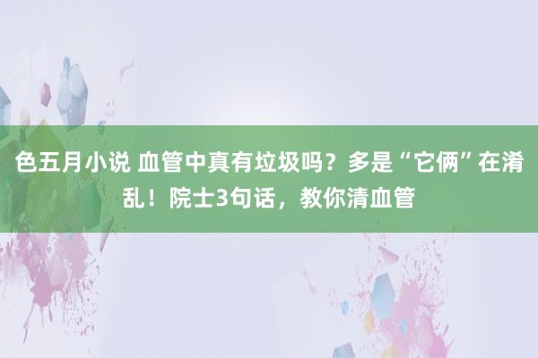 色五月小说 血管中真有垃圾吗?多是“它俩”在淆乱!院士3句话,教你清血管