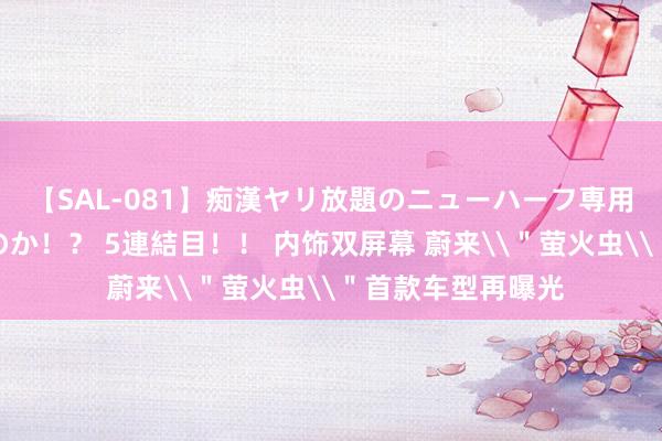 【SAL-081】痴漢ヤリ放題のニューハーフ専用車は本当にあるのか!? 5連結目!! 内饰双屏幕 蔚来\"萤火虫\"首款车型再曝光