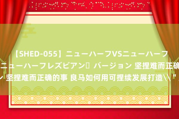 【SHED-055】ニューハーフVSニューハーフ 不純同性肛遊 2 魅惑のニューハーフレズビアン・バージョン 坚捏难而正确的事 良马如何用可捏续发展打造\"反卷指南\"