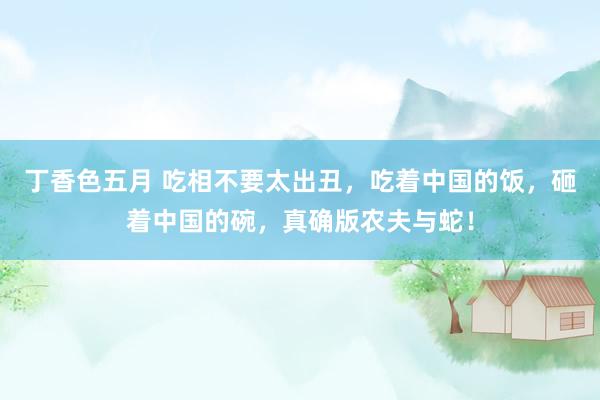 丁香色五月 吃相不要太出丑,吃着中国的饭,砸着中国的碗,真确版农夫与蛇!