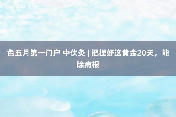 色五月第一门户 中伏灸 | 把捏好这黄金20天,能除病根