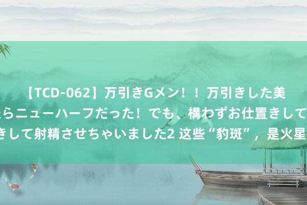 【TCD-062】万引きGメン!!万引きした美女を折檻しようと思ったらニューハーフだった!でも、構わずお仕置きして射精させちゃいました2 这些“豹斑”,是火星上存在生命的凭据?