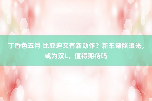 丁香色五月 比亚迪又有新动作?新车谍照曝光,或为汉L,值得期待吗