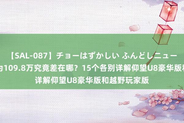 【SAL-087】チョーはずかしい ふんどしニューハーフ 2 同为109.8万究竟差在哪?15个各别详解仰望U8豪华版和越野玩家版