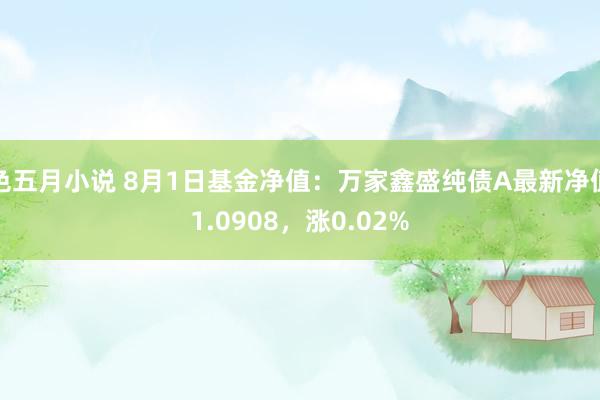 色五月小说 8月1日基金净值:万家鑫盛纯债A最新净值1.0908,涨0.02%