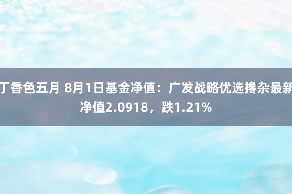 丁香色五月 8月1日基金净值:广发战略优选搀杂最新净值2.0918,跌1.21%