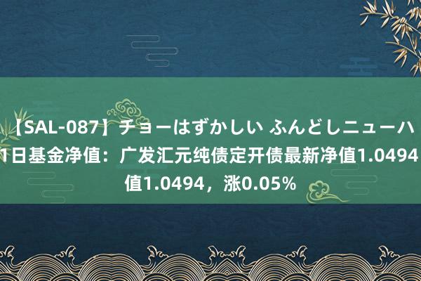 【SAL-087】チョーはずかしい ふんどしニューハーフ 2 8月1日基金净值:广发汇元纯债定开债最新净值1.0494,涨0.05%