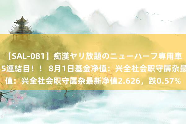 【SAL-081】痴漢ヤリ放題のニューハーフ専用車は本当にあるのか!? 5連結目!! 8月1日基金净值:兴全社会职守羼杂最新净值2.626,跌0.57%
