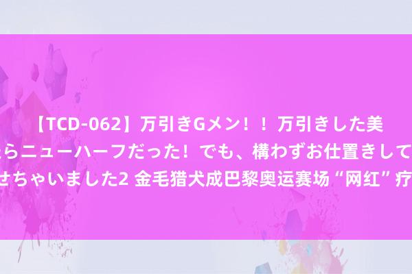 【TCD-062】万引きGメン!!万引きした美女を折檻しようと思ったらニューハーフだった!でも、構わずお仕置きして射精させちゃいました2 金毛猎犬成巴黎奥运赛场“网红”疗养师,萌宠力量温存东说念主心!