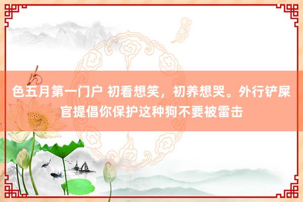 色五月第一门户 初看想笑,初养想哭。外行铲屎官提倡你保护这种狗不要被雷击