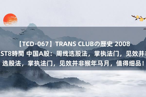 【TCD-067】TRANS CLUBの歴史 2008~2011 44タイトルBEST8時間 中国A股:周线选股法,掌执法门,见效并非猴年马月,值得细品!