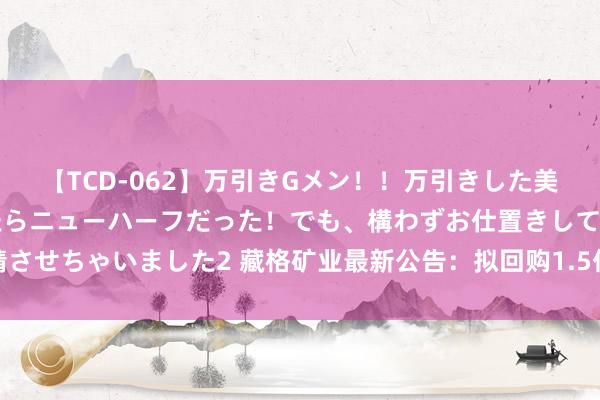 【TCD-062】万引きGメン!!万引きした美女を折檻しようと思ったらニューハーフだった!でも、構わずお仕置きして射精させちゃいました2 藏格矿业最新公告:拟回购1.5亿元-3亿元公司股份用于刊出