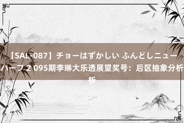 【SAL-087】チョーはずかしい ふんどしニューハーフ 2 095期李琳大乐透展望奖号:后区抽象分析