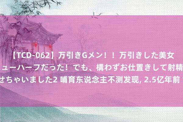 【TCD-062】万引きGメン!!万引きした美女を折檻しようと思ったらニューハーフだった!でも、構わずお仕置きして射精させちゃいました2 哺育东说念主不测发现, 2.5亿年前“芯片”, 地球文雅束缚轮回?