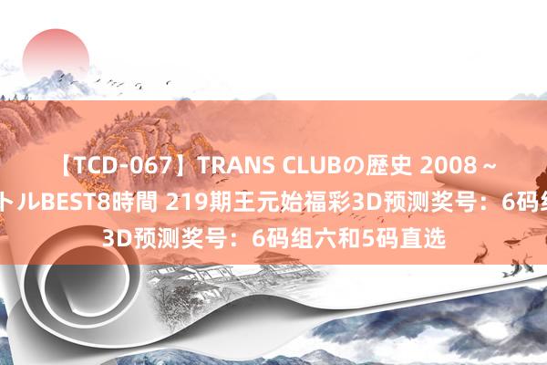 【TCD-067】TRANS CLUBの歴史 2008~2011 44タイトルBEST8時間 219期王元始福彩3D预测奖号:6码组六和5码直选