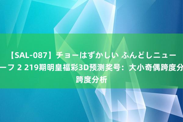 【SAL-087】チョーはずかしい ふんどしニューハーフ 2 219期明皇福彩3D预测奖号:大小奇偶跨度分析
