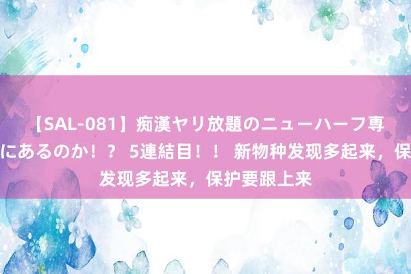 【SAL-081】痴漢ヤリ放題のニューハーフ専用車は本当にあるのか!? 5連結目!! 新物种发现多起来,保护要跟上来