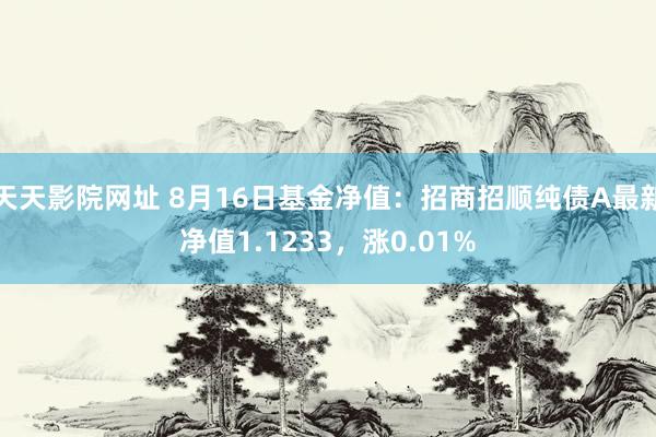 天天影院网址 8月16日基金净值:招商招顺纯债A最新净值1.1233,涨0.01%