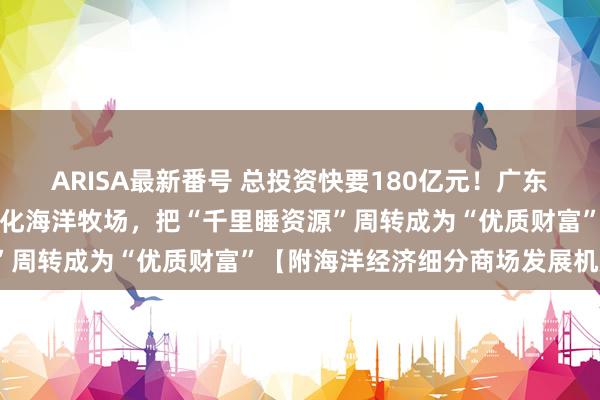 ARISA最新番号 总投资快要180亿元!广东省:加速扶助全链条当代化海洋牧场,把“千里睡资源”周转成为“优质财富”【附海洋经济细分商场发展机遇】