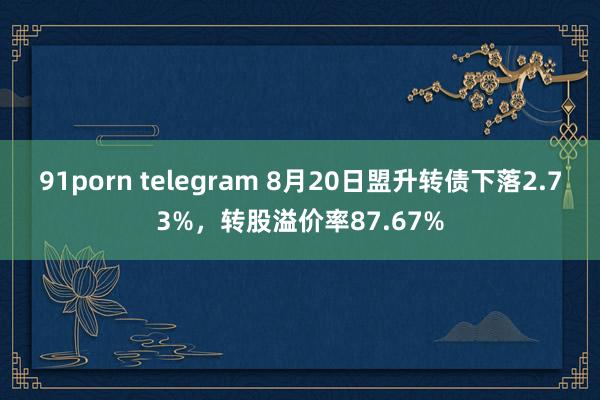 91porn telegram 8月20日盟升转债下落2.73%,转股溢价率87.67%