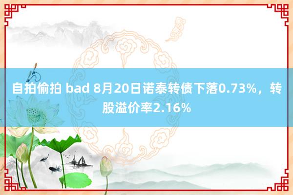 自拍偷拍 bad 8月20日诺泰转债下落0.73%,转股溢价率2.16%