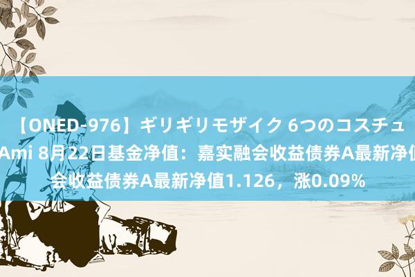 【ONED-976】ギリギリモザイク 6つのコスチュームでパコパコ! Ami 8月22日基金净值:嘉实融会收益债券A最新净值1.126,涨0.09%