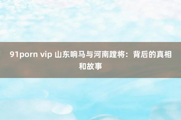 91porn vip 山东响马与河南蹚将:背后的真相和故事