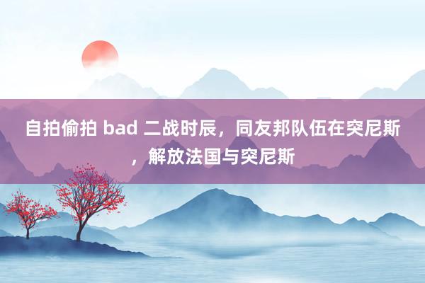自拍偷拍 bad 二战时辰,同友邦队伍在突尼斯,解放法国与突尼斯