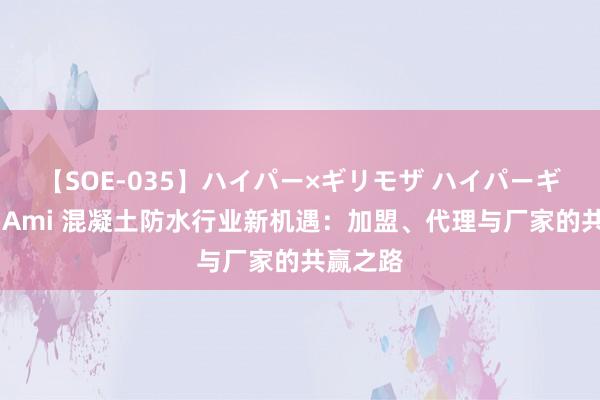 【SOE-035】ハイパー×ギリモザ ハイパーギリモザ Ami 混凝土防水行业新机遇:加盟、代理与厂家的共赢之路
