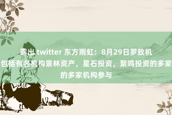 露出 twitter 东方雨虹:8月29日罗致机构调研,包括有名机构景林资产,星石投资,聚鸣投资的多家机构参与
