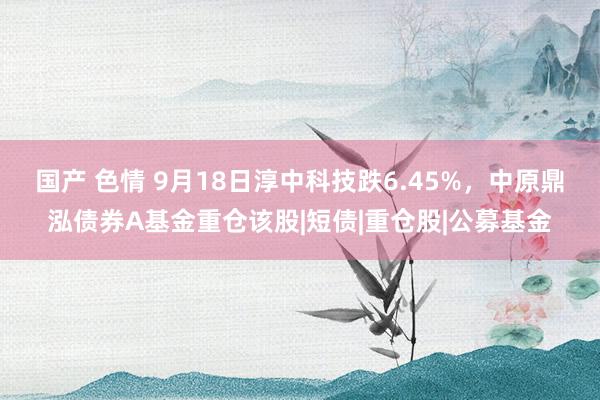国产 色情 9月18日淳中科技跌6.45%,中原鼎泓债券A基金重仓该股|短债|重仓股|公募基金