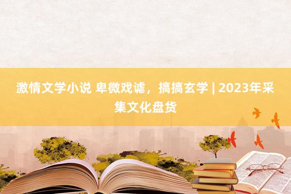 激情文学小说 卑微戏谑,搞搞玄学 | 2023年采集文化盘货