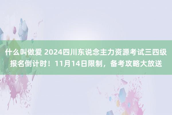 什么叫做爱 2024四川东说念主力资源考试三四级报名倒计时!11月14日限制,备考攻略大放送
