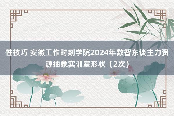 性技巧 安徽工作时刻学院2024年数智东谈主力资源抽象实训室形状(2次)