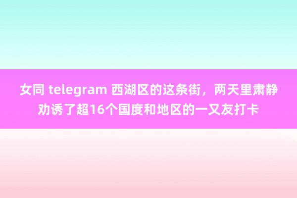 女同 telegram 西湖区的这条街,两天里肃静劝诱了超16个国度和地区的一又友打卡