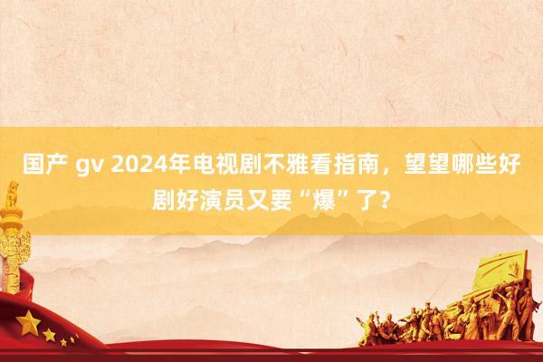 国产 gv 2024年电视剧不雅看指南,望望哪些好剧好演员又要“爆”了?