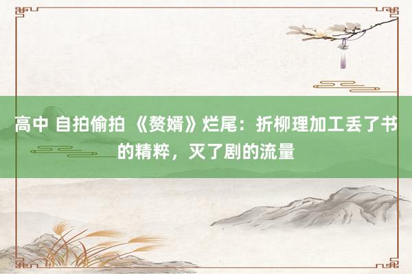 高中 自拍偷拍 《赘婿》烂尾:折柳理加工丢了书的精粹,灭了剧的流量