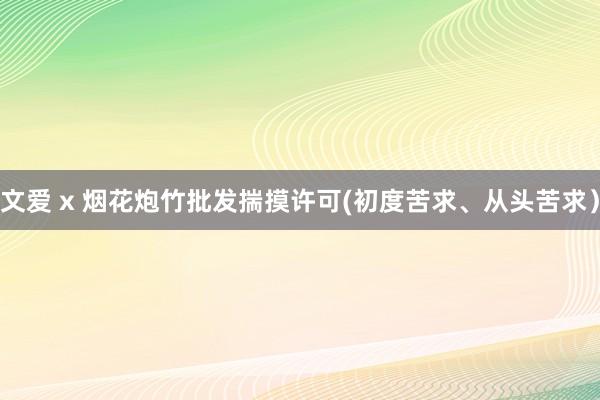 文爱 x 烟花炮竹批发揣摸许可(初度苦求、从头苦求)