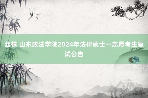 丝袜 山东政法学院2024年法律硕士一志愿考生复试公告