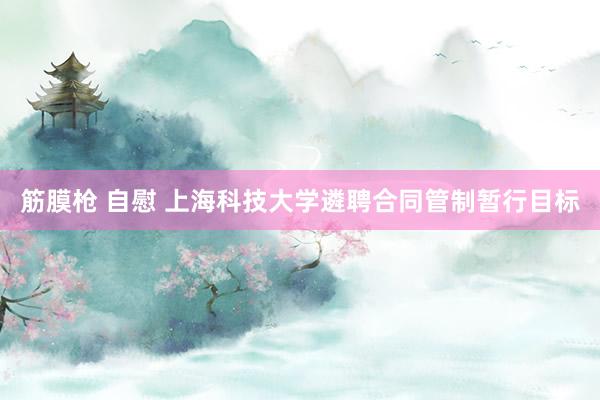 筋膜枪 自慰 上海科技大学遴聘合同管制暂行目标
