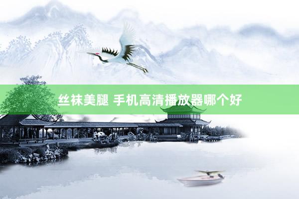 丝袜美腿 手机高清播放器哪个好