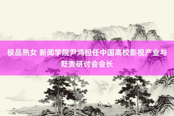 极品熟女 新闻学院尹鸿担任中国高校影视产业与贬责研讨会会长